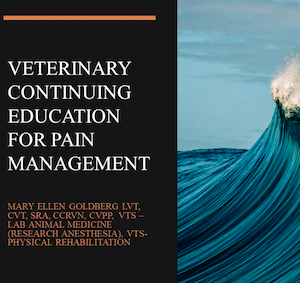 Veterinary Continuing Education for Pain Management