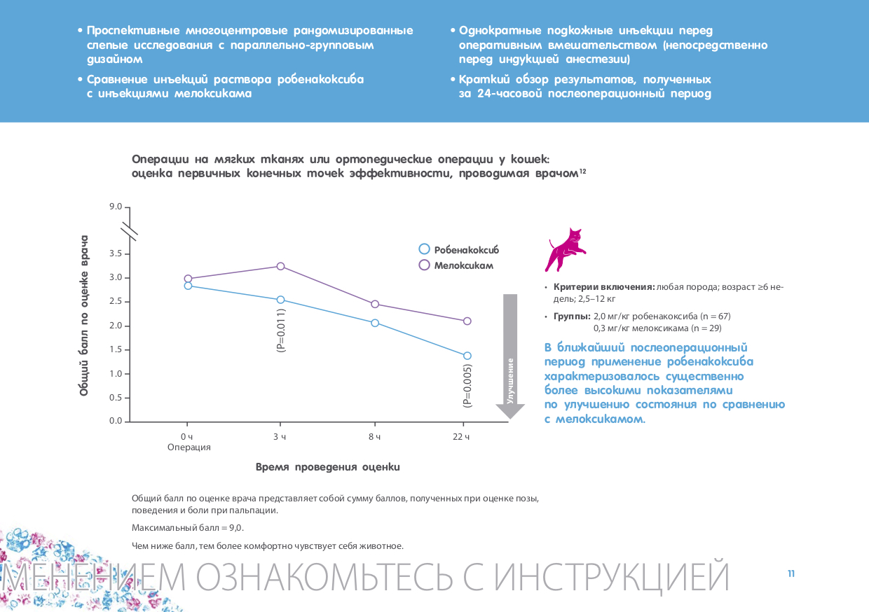 Онсиор. Страница 11